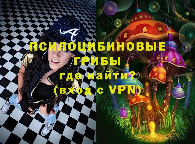 Псилоцибиновые грибы Magic Shrooms  Емва 